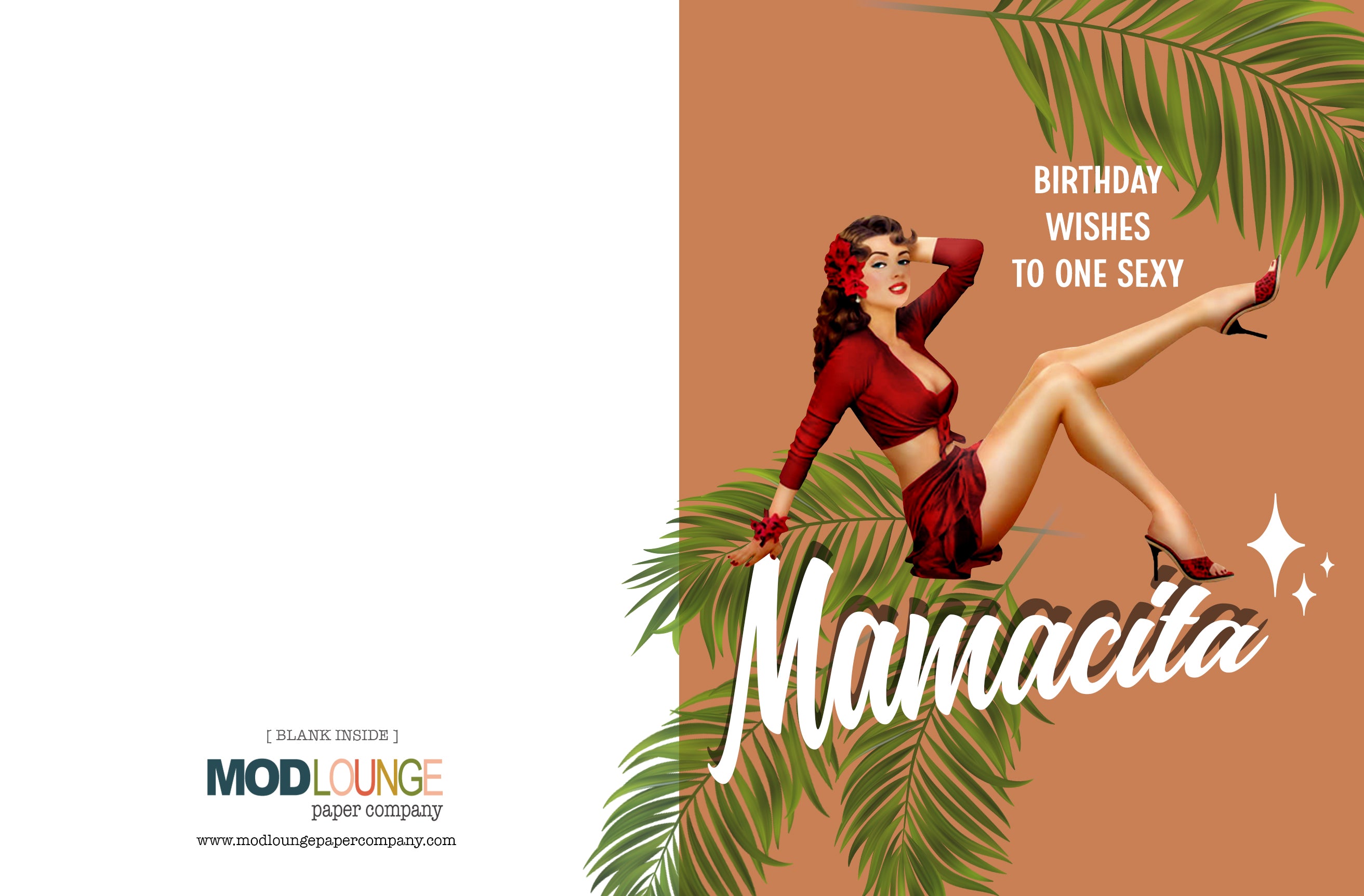 Happy Birthday Mamacita Vintage Pinup Greeting Card