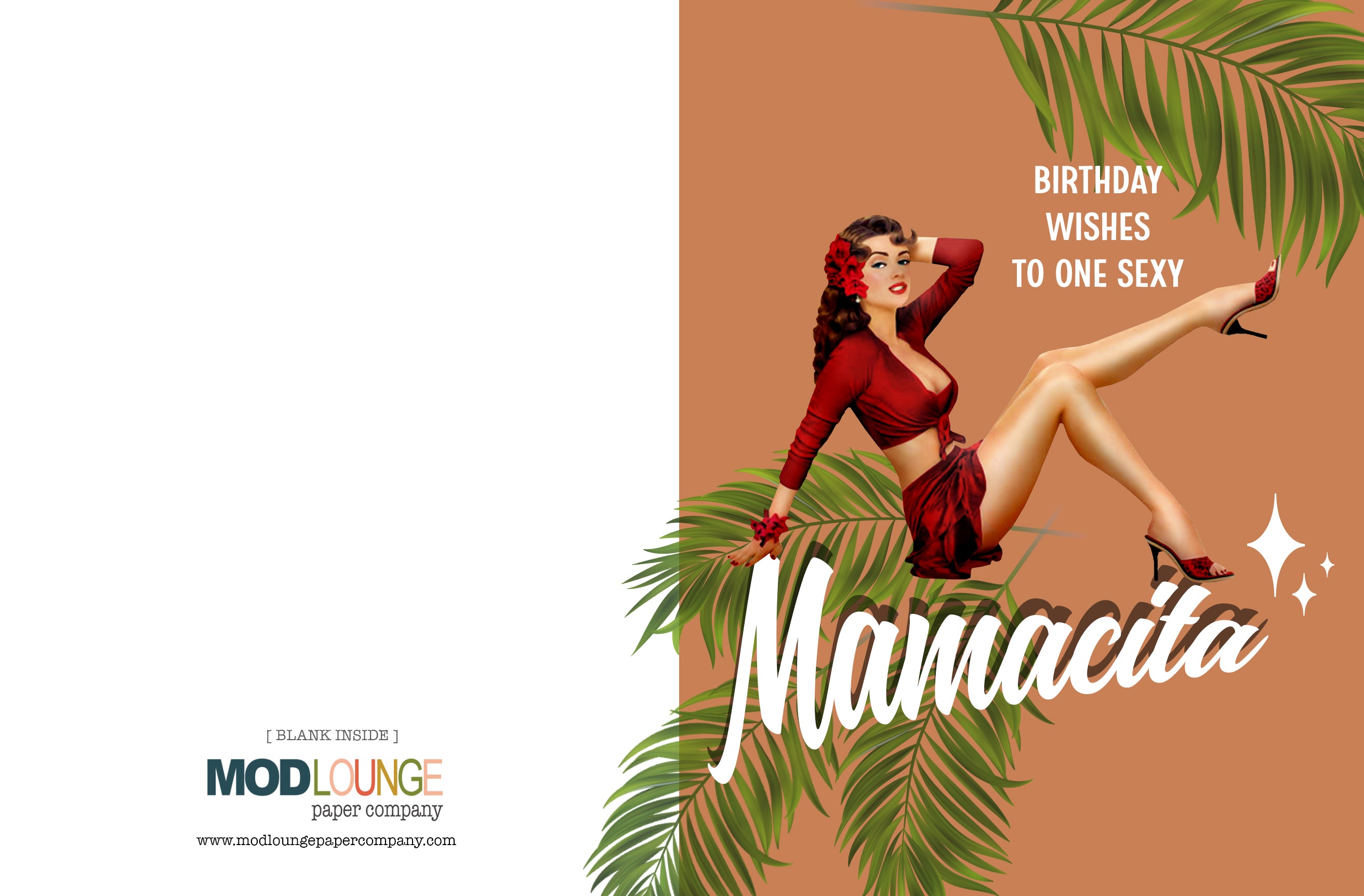 Happy Birthday Mamacita Greeting Card