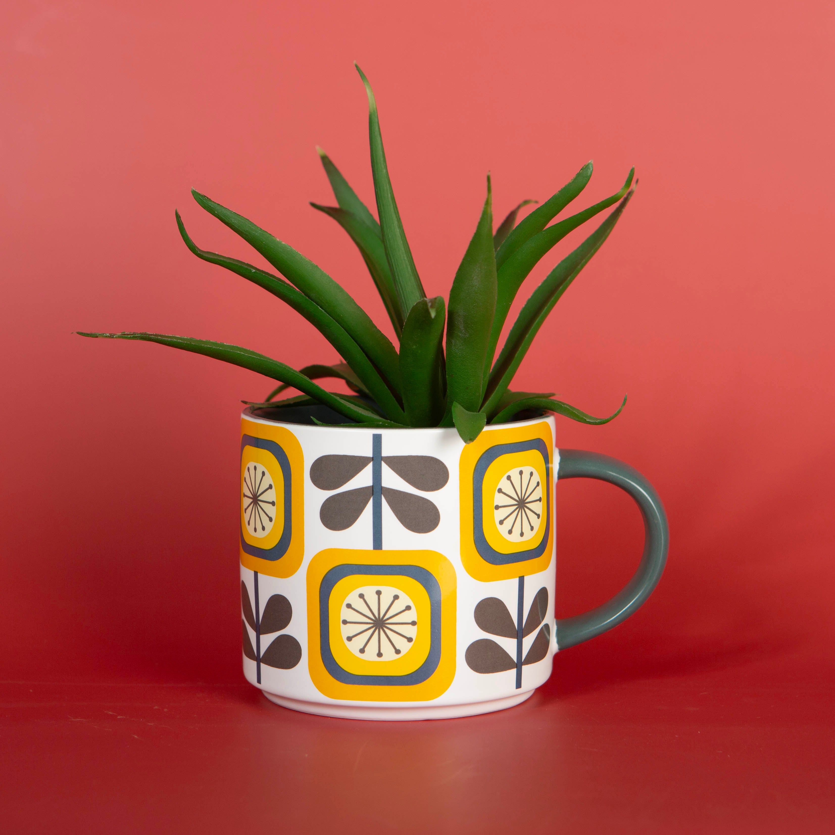 Matte Mug Bundle